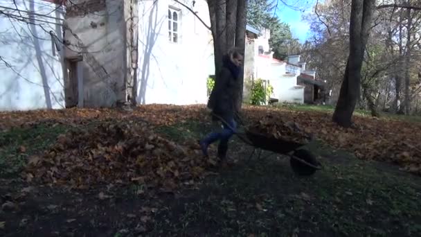 Schubkarrenkompost für Mädchen — Stockvideo