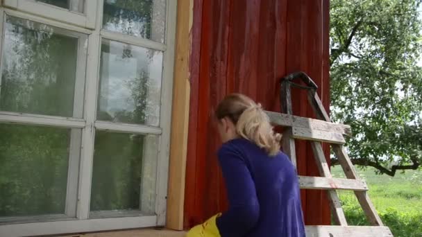 Arbetstagaren kvinna borste vägg — Stockvideo