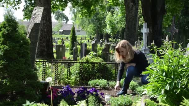 Woman loosen grave ground — Stock Video