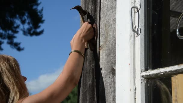 Mädchen Hammer Hufeisen — Stockvideo