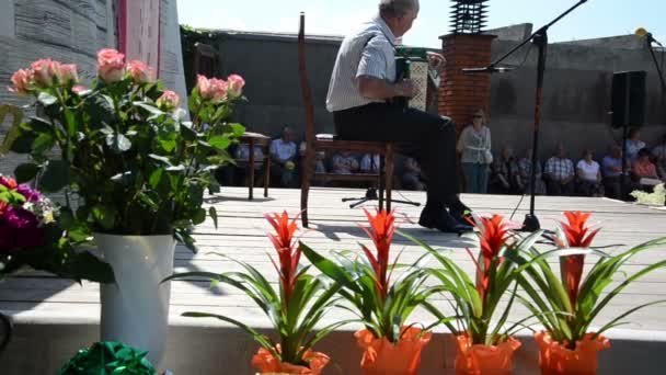 Man playing accordion — Stock Video