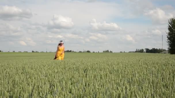 Meisje jurk gitaar veld — Stockvideo