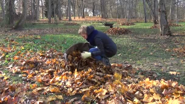 Садовник оставляет мешок парк — стоковое видео