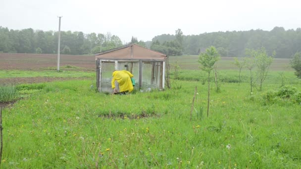 Femme serre pluie — Video