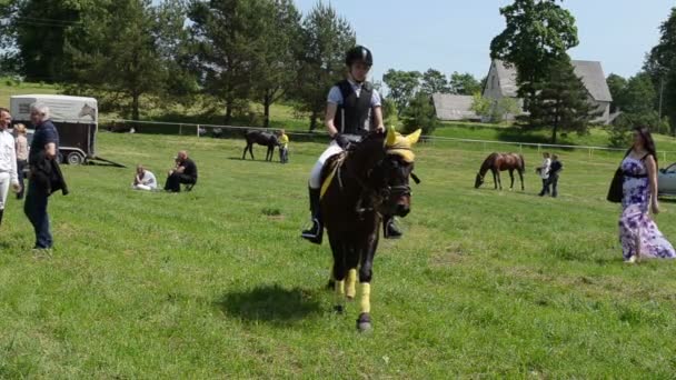 Enano caballo chica paseo — Vídeos de Stock