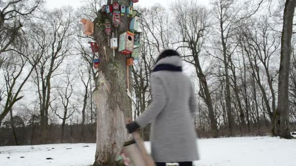 Fille oiseau nid maison pendre — Video