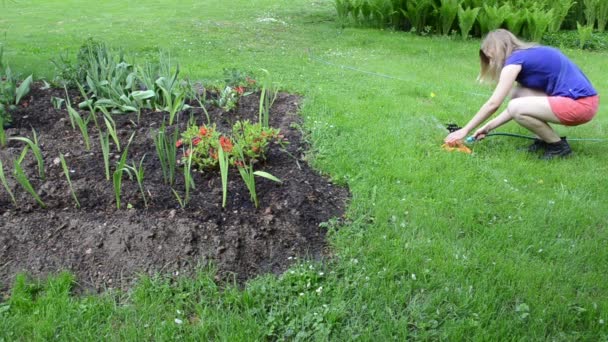 Watering tool water spray — Stock Video