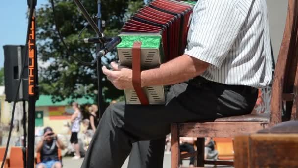 Homem melodia acordeão — Vídeo de Stock