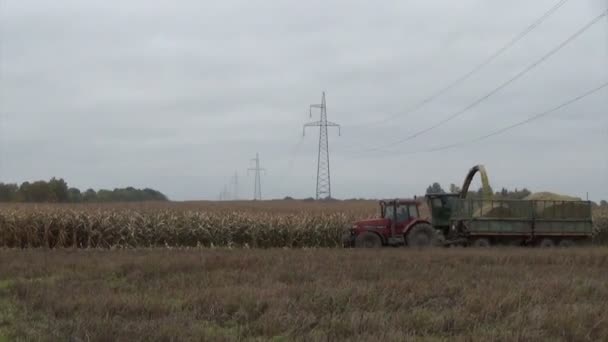 Mähdrescher ernten Mais — Stockvideo