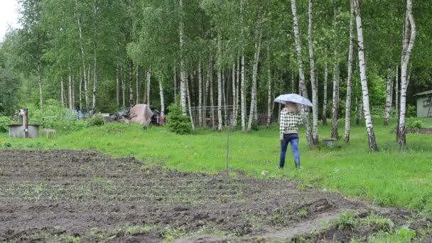 Farmer woman birch tree — Stock Video