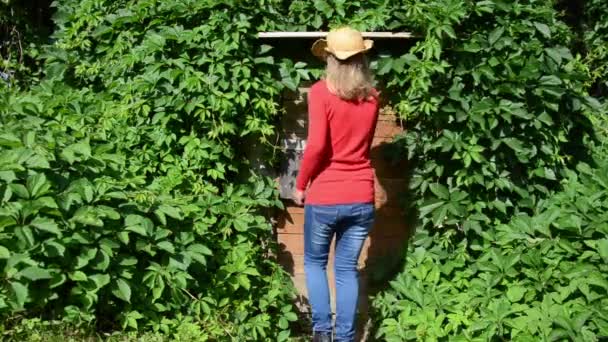 Agricultor mulher adega porta — Vídeo de Stock