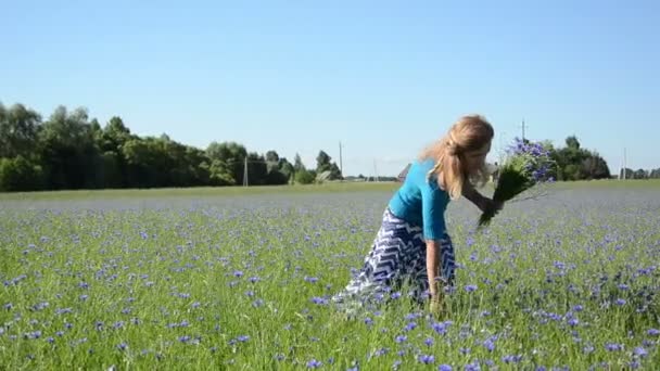 Dame plukken bloemen veld — Stok video