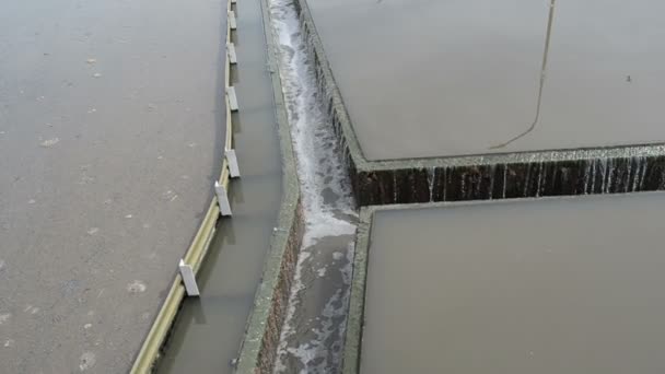 Sedimentación del flujo de agua — Vídeo de stock