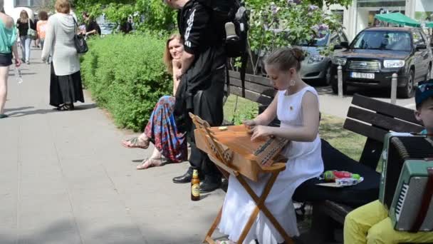 Hand play baltic psaltery — Stock Video