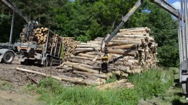 alt yük günlükleri vinç