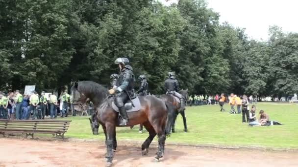 Полицейские лошади — стоковое видео