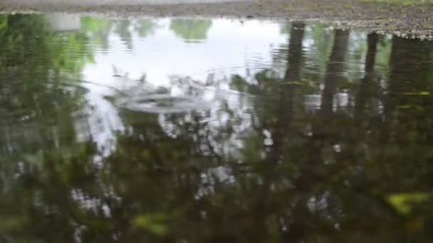 Regen daling luchtbel — Stockvideo