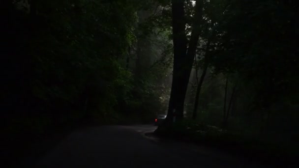 車道路の霧 — ストック動画