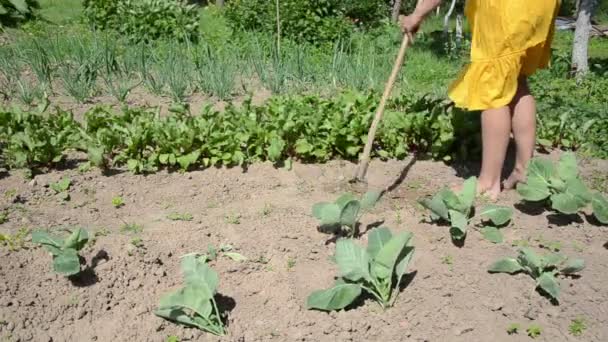 Mauvaises herbes de la fille aux pieds nus grub — Video