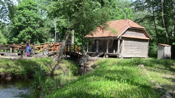 Casa de campo mulher — Vídeo de Stock