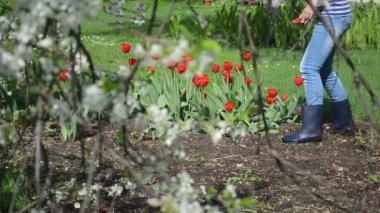 kadın Lale Bahçe kesmek
