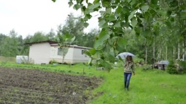Huş ağacı dalı kadın evi