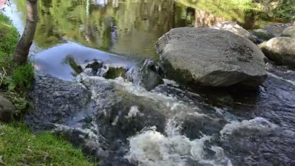 Corriente de piedra — Vídeo de stock