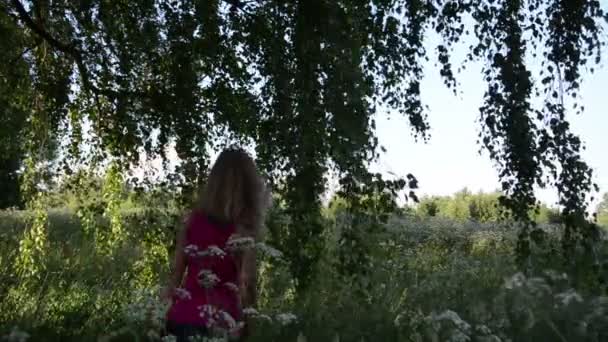 Dlouhé březové větve žena — Stock video