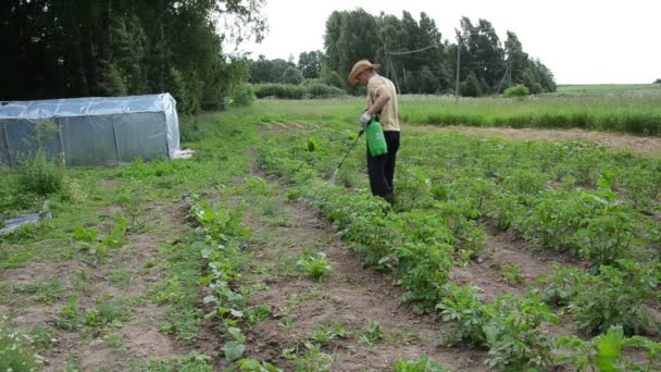 Potato spray worker — Stock Video