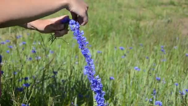 Handen maken bloem krans — Stockvideo