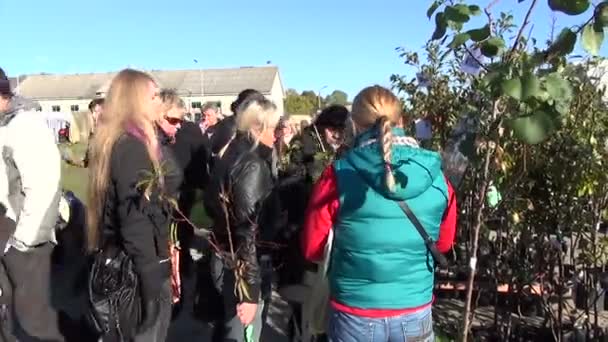 Leverantör marknaden äppelträd — Stockvideo