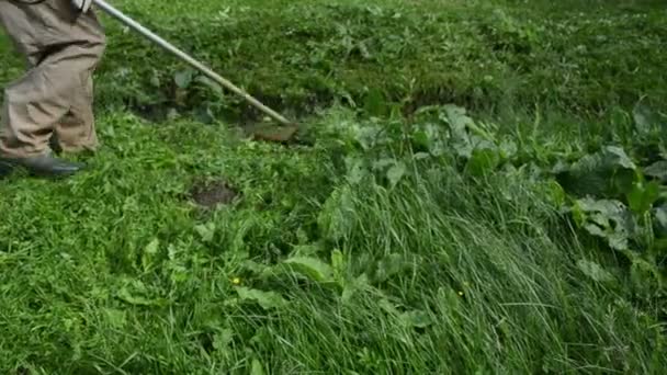 Триммер для стрижки травы — стоковое видео