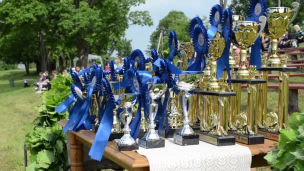 Paardenrennen cups awards — Stockvideo