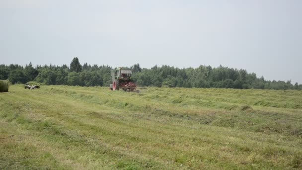 Traktor seno třepačka — Stock video