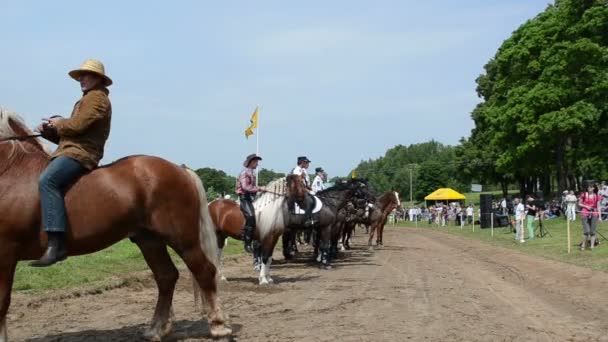 Sillín de caballo vaquero — Vídeo de stock