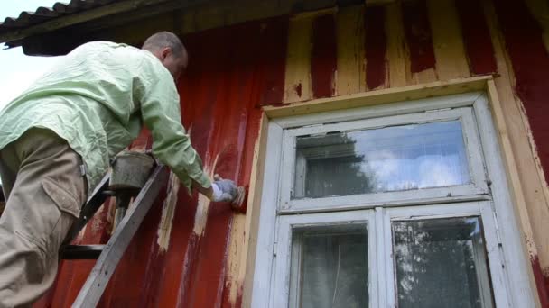 Pintor hombre cepillo pared — Vídeo de stock