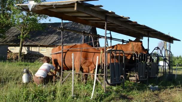 Milkmaid macchina del latte mucca — Video Stock