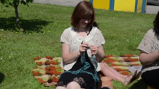 Knitters daire — Stok video