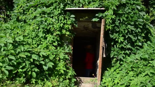 Mujer sótano rural — Vídeos de Stock