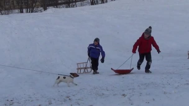 Barn klättra hill släde — Stockvideo