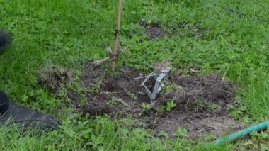 Bahçe işçisi köstebek kapanı