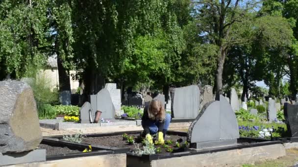 Père tombe plante fleur — Video