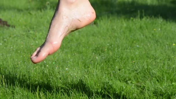 vlhké nohy trávy