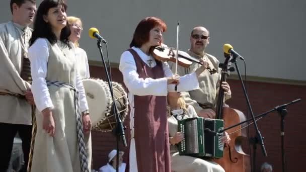 Band folk instrument — Stock Video