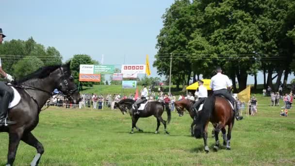 Policía montada realizar — Vídeos de Stock