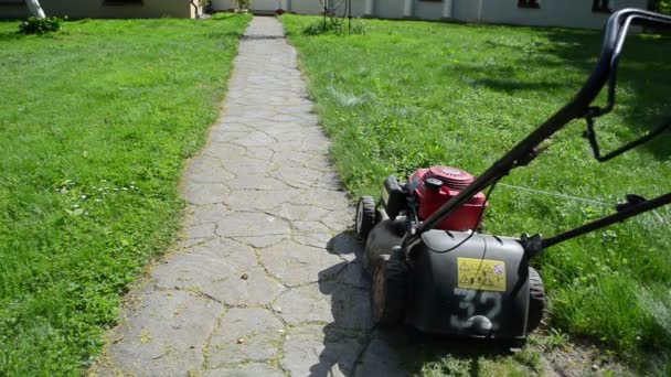 Worker start grass mower — Stock Video