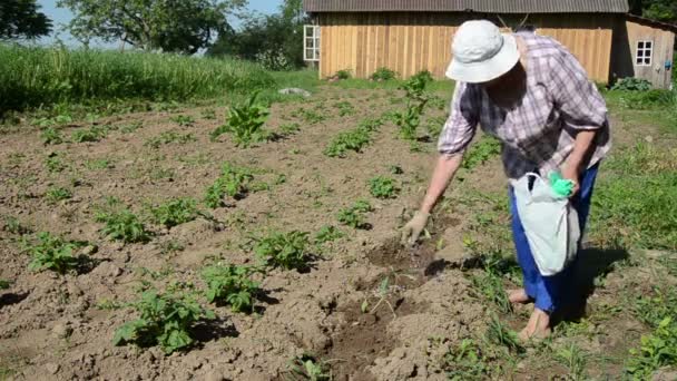 Engrais végétal pour courgettes — Video