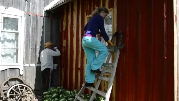 Pintor homem escova parede — Vídeo de Stock