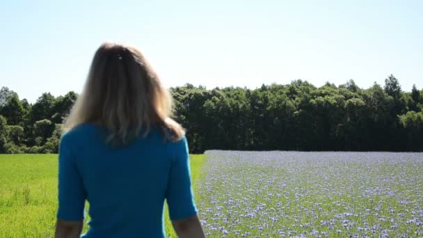 Playful woman bluet field — Stock Video