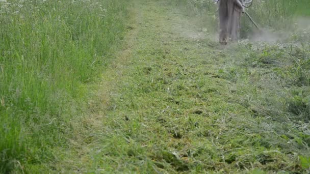 Jardinero cortar hierba — Vídeos de Stock